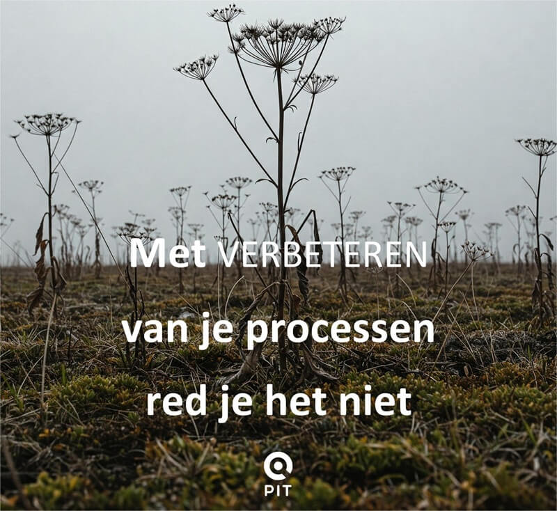 Met verbeteren van je processen red je het niet